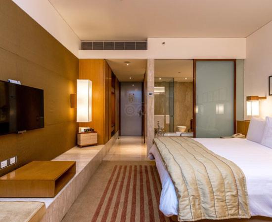 Hotel Plaza International Near Delhi Airport New Delhi Exterior foto